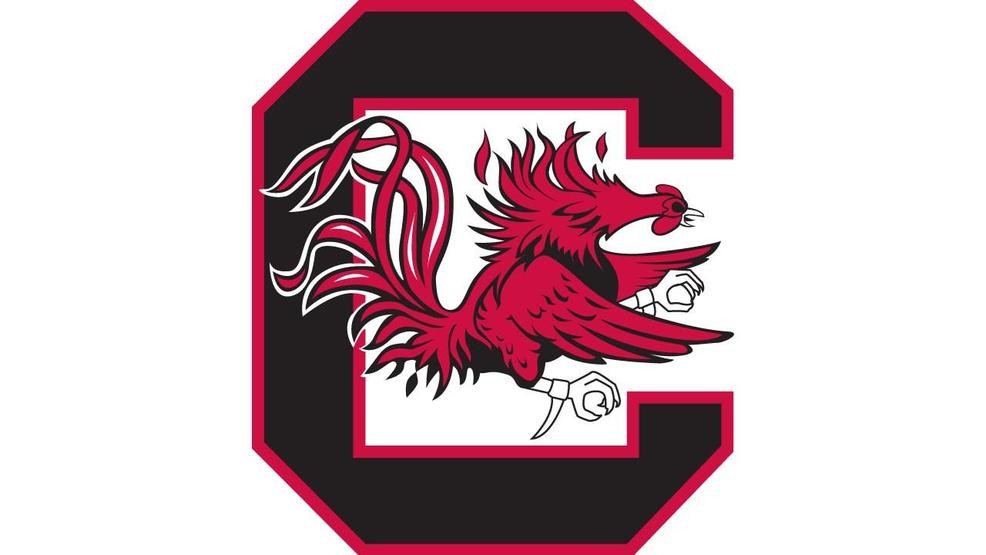 University of South Carolina Logo