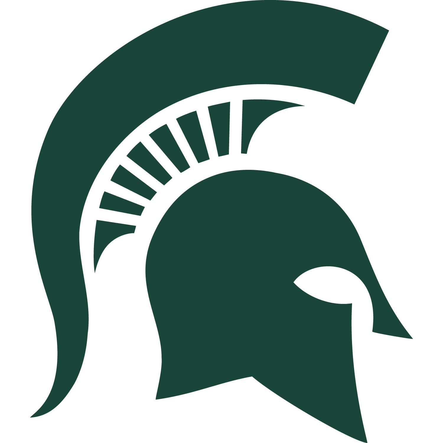 michigan state university logo